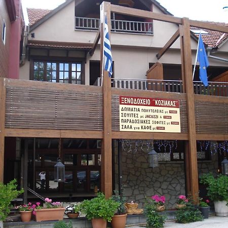 Hotel Koziakas Eláti Esterno foto